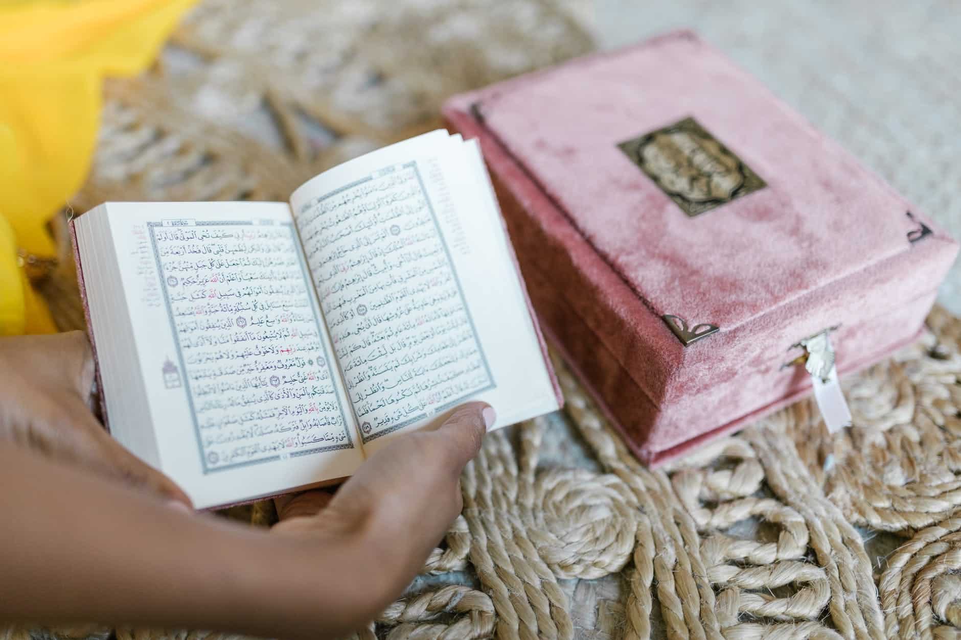 person holding an open holy book